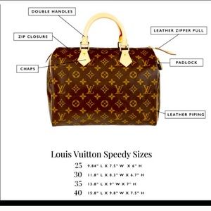 Louis Vuitton Speedy 25 Bag